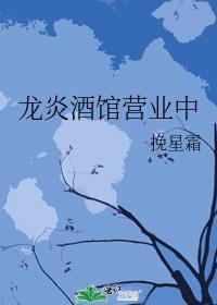 龙炎酒馆营业中晋江