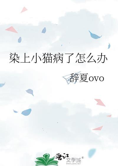 猫感染