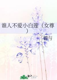 谁人不爱前一句