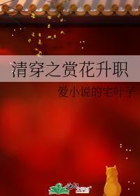 清穿之花开从容 完结