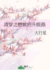 清穿之懋嫔的升级路讲的什么