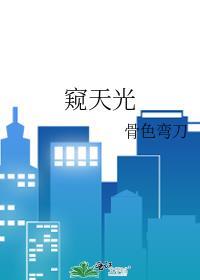 窥天光by骨月弯刀笔趣阁