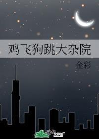 鸡飞狗跳大杂院白裳在线阅读