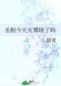 丞相今天火葬场了吗 甜鸢