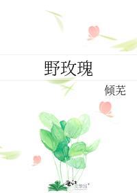 野玫瑰歌词