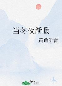 当冬夜渐暖未删减版