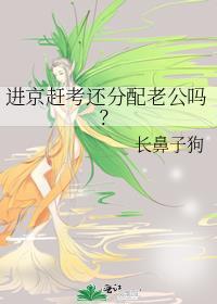 进京赶考还分配老公吗?免费阅读