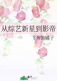 从综艺开始当明星