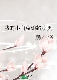 我的小白兔作文500字