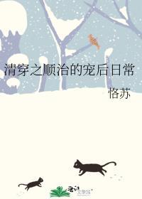 清穿之顺治的宠后日常笔趣阁