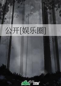 公开什么意思?