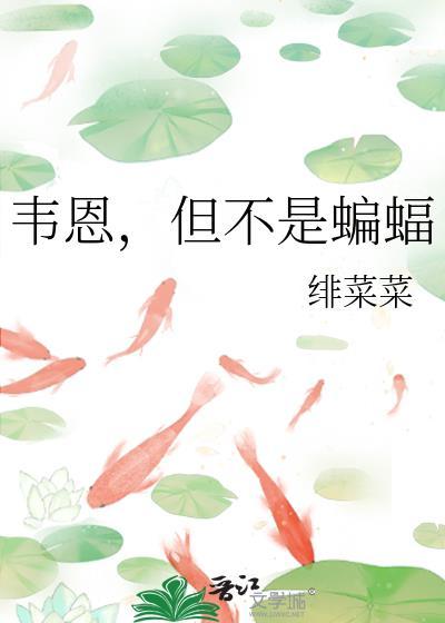 韦恩但不是蝙蝠番外