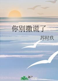 你别撒谎了by苏时玖