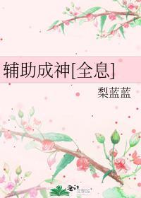 辅助成功