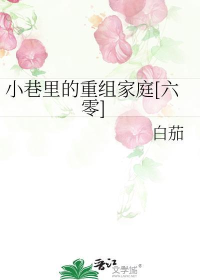小巷里的故事