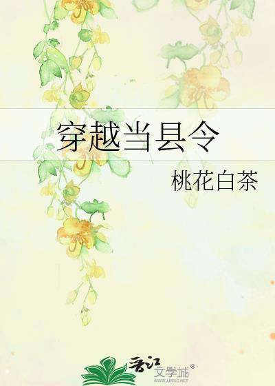 穿越当县令TXT百度资源免费