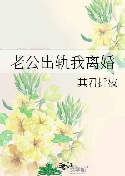老公出轨我离婚其君折枝txt