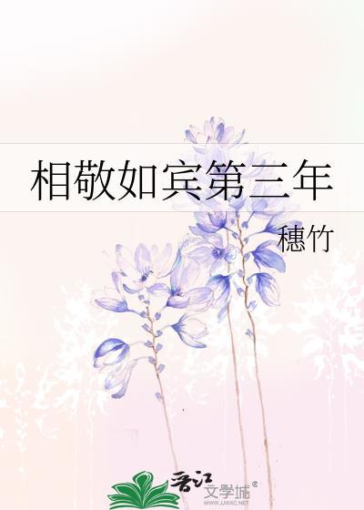相敬如宾第三年TXT最新章节