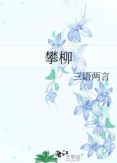 攀柳三言两语晋江
