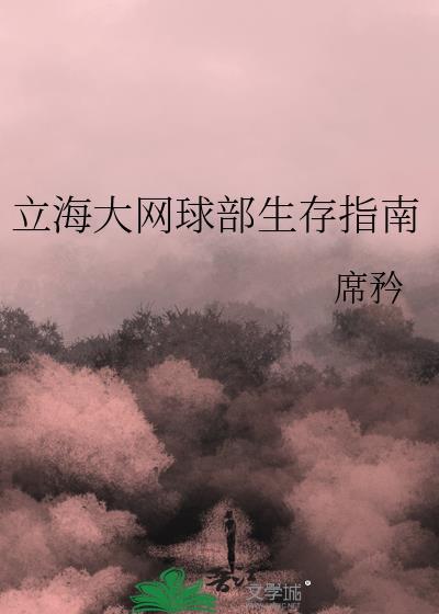 网球王子立海大对青学比赛