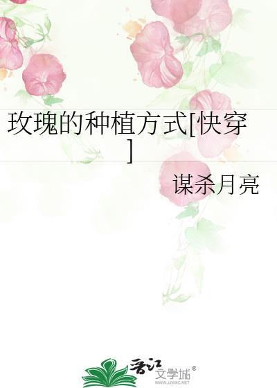 玫瑰种植方案