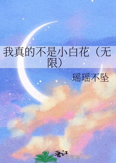 我真不是花瓶[无限