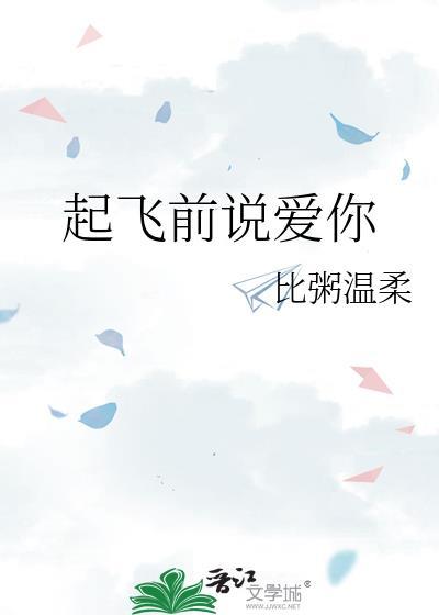 起飞前说爱你txt
