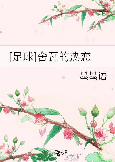 舍瓦踢什么位置