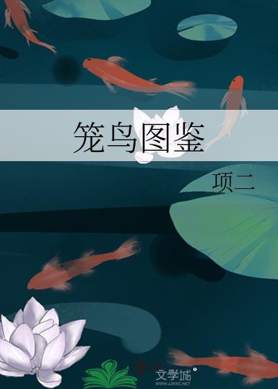 笼鸟图鉴by项二4对cp