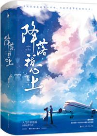 降落我心上阮思娴傅明予