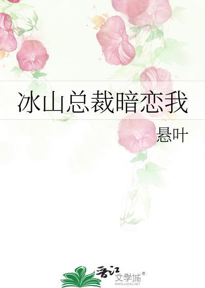 冰山总裁暗恋我晋江