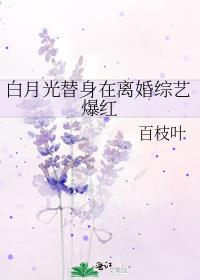 白月光替身在离婚综艺爆红txt