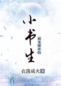 小小书生