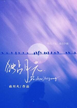 独占月光与我白鹭