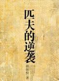 匹夫的逆袭原型