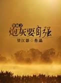 重生之炮灰之在九十年代