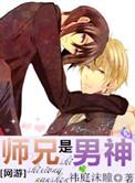 师兄是男神百度