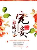 宠妾养成记资源