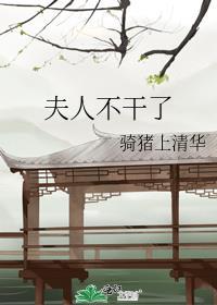夫人不干了大结局