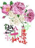 穿越七十年代之农家