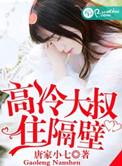 高冷大叔电视剧
