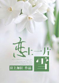 恋上一片雪狂上加狂书包网