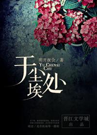 于尘埃处内容是什么