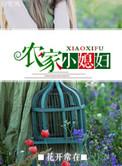 农家小媳妇 全文免费阅读
