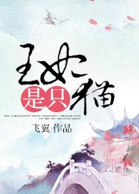 王妃是只猫 电视剧