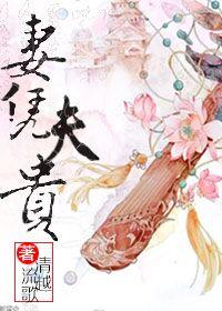 妻凭夫贵无错版