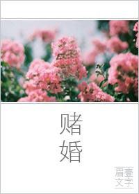 赌婚一字眉txt