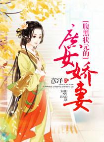 腹黑状元的庶女妻沈沁