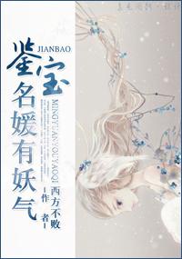 鉴宝的言情