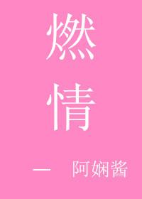 燃情仕途免费的阅读